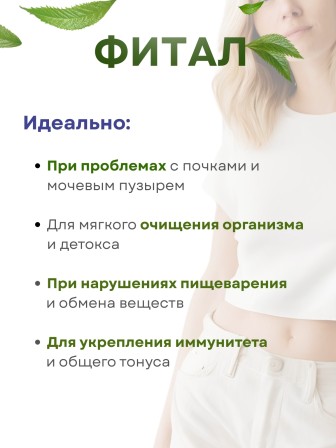 Фитал чай очищающий в пакетиках 20 шт, набор 3 пачки