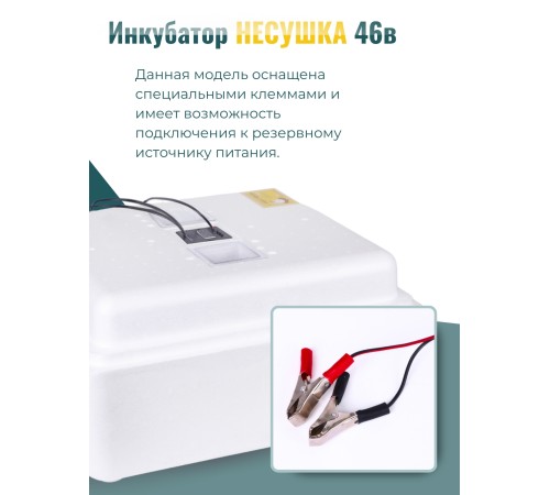 Инкубатор Несушка на 63 яйца куриных автоматический 220/12В цифровой терморегулятор, арт. 46В