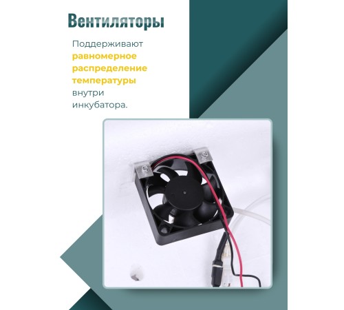 Инкубатор Несушка на 63 яйца куриных автоматический 220/12В цифровой терморегулятор, арт. 46В