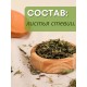 Стевия натуральная листья 20 г травяной чай, сахарозаменитель