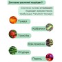 Капельный полив ЖУК от емкости 90 растений, без таймера