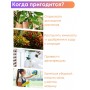 Опрыскиватель аккумуляторый ручной 1,5 л Жук Эксперт
