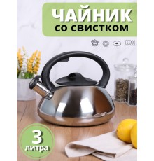 Чайник MALLONY MAL-109, 3л., полированный, со свистком