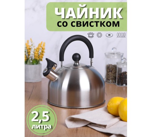 Чайник MALLONY MAL-039-MP, 2,5л, матовый, со свистком