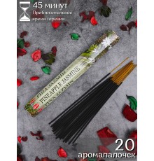 Благовония HEM, шестигранники, Ананас Жасмин (Pineapple Jasmine)