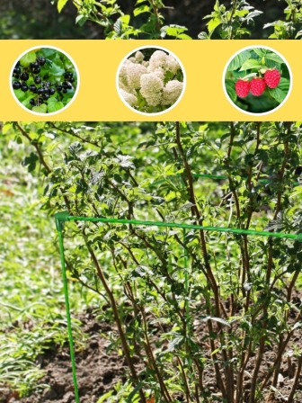 Кустодержатель ФиксКуст