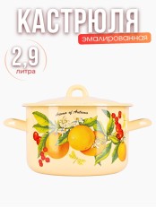Кастрюля 2,9л С-16111/4КмЭ Фруктовая фантазия