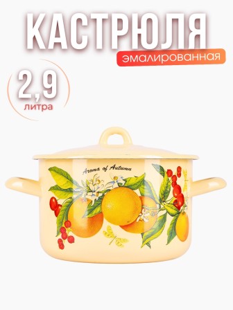 Кастрюля 2,9л С-16111/4КмЭ Фруктовая фантазия