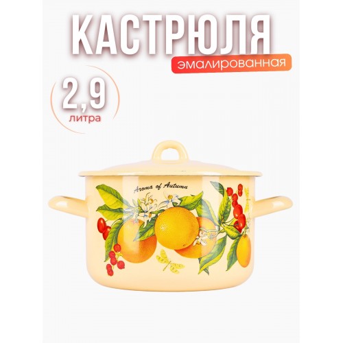 Кастрюля 2,9л С-16111/4КмЭ Фруктовая фантазия