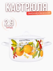 Кастрюля 2,9л С-16111/4Э Фруктовая фантазия