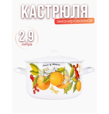 Кастрюля 2,9л С-16111/4Э Фруктовая фантазия