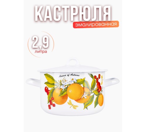 Кастрюля 2,9л С-16111/4Э Фруктовая фантазия Кастрюля 2,9л С-16111/4Э Фруктовая фантазия