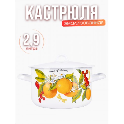 Кастрюля 2,9л С-16111/4Э Фруктовая фантазия