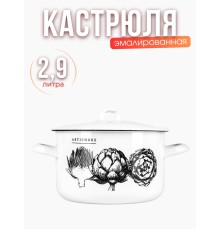 Кастрюля 2,9л С-16111/4Э Artichoke