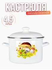 Кастрюля 4,5л C-1615АП2/4 Грибная поляна