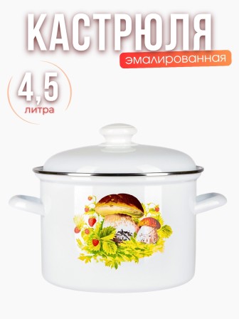 Кастрюля 4,5л C-1615АП2/4 Грибная поляна