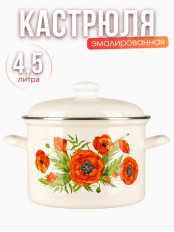 Кастрюля 4,5л С-1615АП2/4Жм Июнь