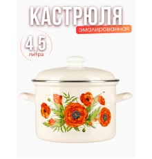 Кастрюля 4,5л С-1615АП2/4Жм Июнь