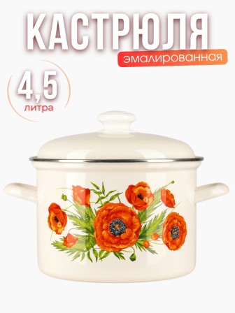 Кастрюля 4,5л С-1615АП2/4Жм Июнь
