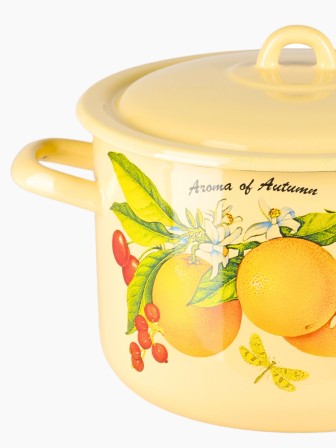 Кастрюля 4,3л С-16141/4КмЭ Фруктовая фантазия