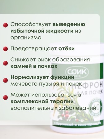 БАД Нефрон для почек с брусникой и золотарником, 60 капс.