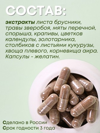 БАД Нефрон для почек с брусникой и золотарником, 60 капс.