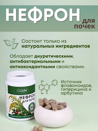 БАД Нефрон для почек с брусникой и золотарником, 60 капс.