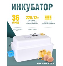 Инкубатор Несушка на 36 яиц автоматический поворот 220/12В,цифровой терморегулятор, вентиляторы, арт. 45в