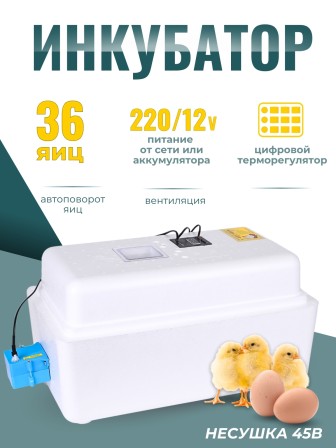 Инкубатор Несушка на 36 яиц автоматический поворот 220/12В,цифровой терморегулятор, вентиляторы, арт. 45в