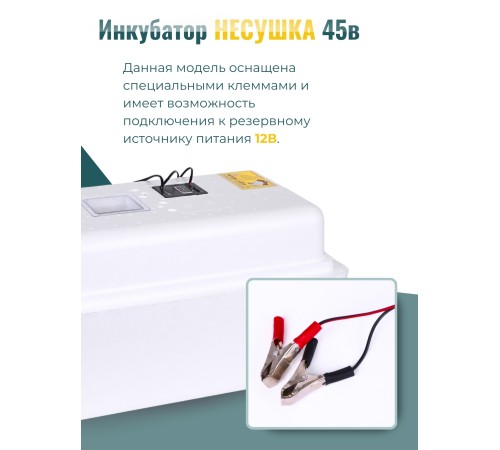 Инкубатор Несушка на 36 яиц автоматический поворот 220/12В,цифровой терморегулятор, вентиляторы, арт. 45в Инкубатор Несушка на 36 яиц автоматический поворот 220/12В,цифровой терморегулятор, вентиляторы, арт. 45в