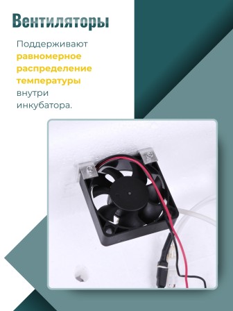 Инкубатор Несушка на 36 яиц автоматический поворот 220/12В,цифровой терморегулятор, вентиляторы, арт. 45в