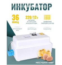 Инкубатор Несушка(45вг) 36я авто 220/12В с гигрометром и вентилятором