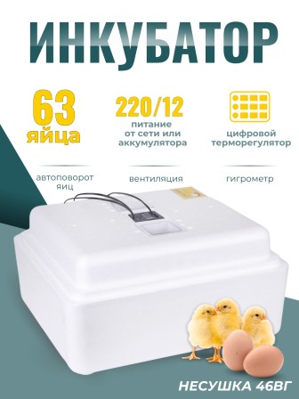 Инкубатор Несушка автоматический с вентилятором и гигрометром на 63 яица (46вг)