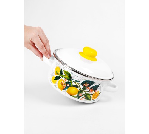 Кастрюля эмалированная 2 л, Стальэмаль 1RВ181M, Лимоны в цвету, белоснежный