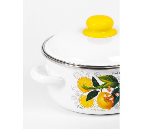 Кастрюля эмалированная 2 л, Стальэмаль 1RВ181M, Лимоны в цвету, белоснежный