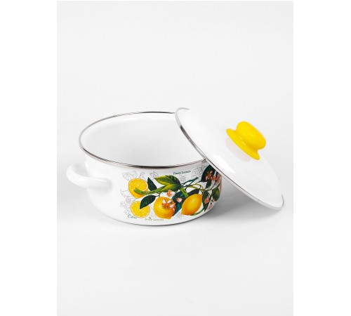 Кастрюля эмалированная 2 л, Стальэмаль 1RВ181M, Лимоны в цвету, белоснежный