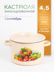 Кастрюля эмалированная 4,5 л, Стальэмаль 1с17с, Сентябрь, кремовый