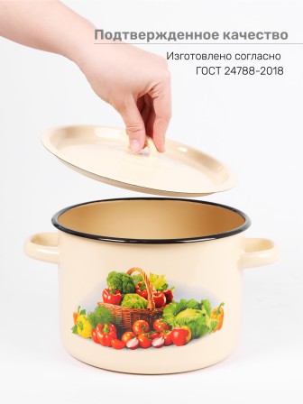 Кастрюля эмалированная 4,5 л, Стальэмаль 1с17с, Сентябрь, кремовый