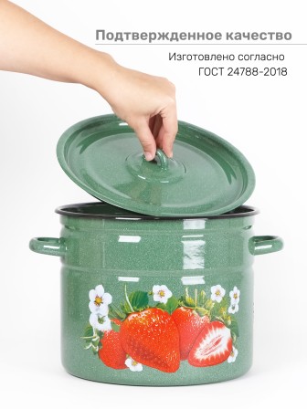 Кастрюля эмалированная 9 л, Стальэмаль 1с200с, Клубника садовая, изумрудный, с зерном