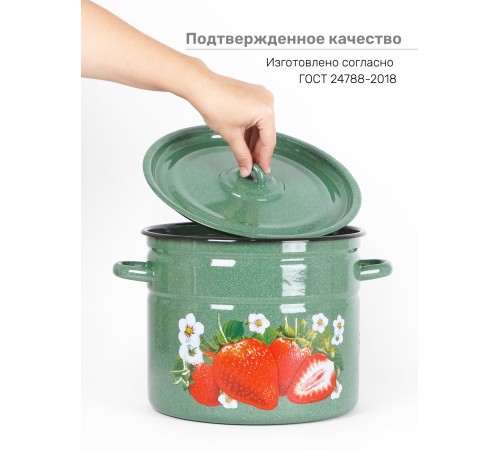 Кастрюля эмалированная 9 л, Стальэмаль 1с200с, Клубника садовая, изумрудный, с зерном