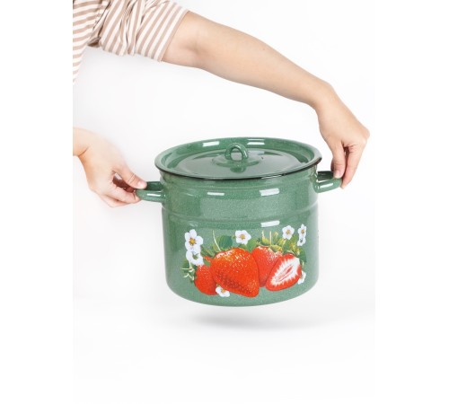 Кастрюля эмалированная 9 л, Стальэмаль 1с200с, Клубника садовая, изумрудный, с зерном
