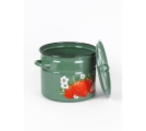 Кастрюля эмалированная 9 л, Стальэмаль 1с200с, Клубника садовая, изумрудный, с зерном