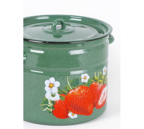 Кастрюля эмалированная 9 л, Стальэмаль 1с200с, Клубника садовая, изумрудный, с зерном