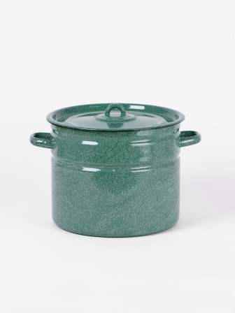 Кастрюля эмалированная 9 л, Стальэмаль 2с200, без рисунка, изумрудный, с зерном