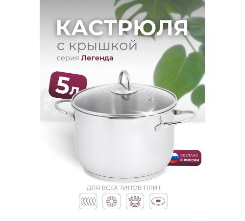 Кастрюля «Легенда» - 5,0 л, 220 мм, ТРС, КС (стеклянная крышка, зеркальная полировка, прутковые ручки)