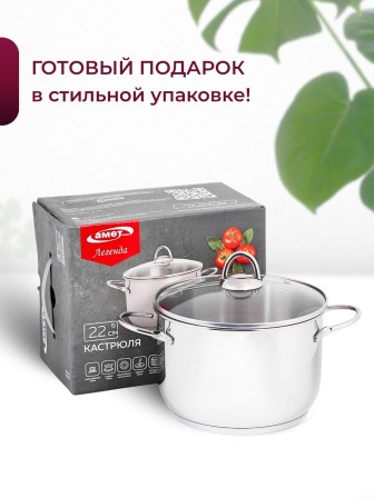 Кастрюля «Легенда» - 5,0 л, 220 мм, ТРС, КС (стеклянная крышка, зеркальная полировка, прутковые ручки)