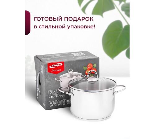 Кастрюля «Легенда» - 5,0 л, 220 мм, ТРС, КС (стеклянная крышка, зеркальная полировка, прутковые ручки)