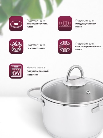 Кастрюля «Легенда» - 5,0 л, 220 мм, ТРС, КС (стеклянная крышка, зеркальная полировка, прутковые ручки)