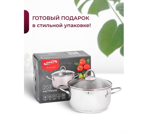 Кастрюля «Легенда» - 3,0 л, 200 мм, ТРС, КС (стеклянная крышка, зеркальная полировка, прутковые ручки)