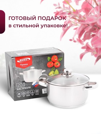 Кастрюля «Прима» (сатин) - 3,0 л, 200 мм, ТРС, КС (стеклянная крышка, матовая полировка, объемными ручками)